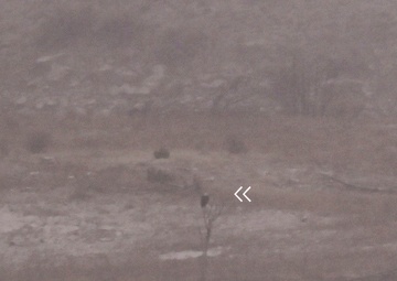 Volunteers spot 80 eagles at five USACE-Albuquerque District lakes during eagle watch surveys in January