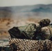 Marines with 1st LAR and 3rd LAR conduct Platoon Attacks During ITX 1-25