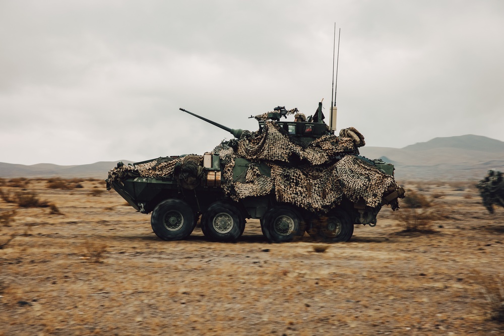 Marines with 1st LAR and 3rd LAR conduct Platoon Attacks During ITX 1-25