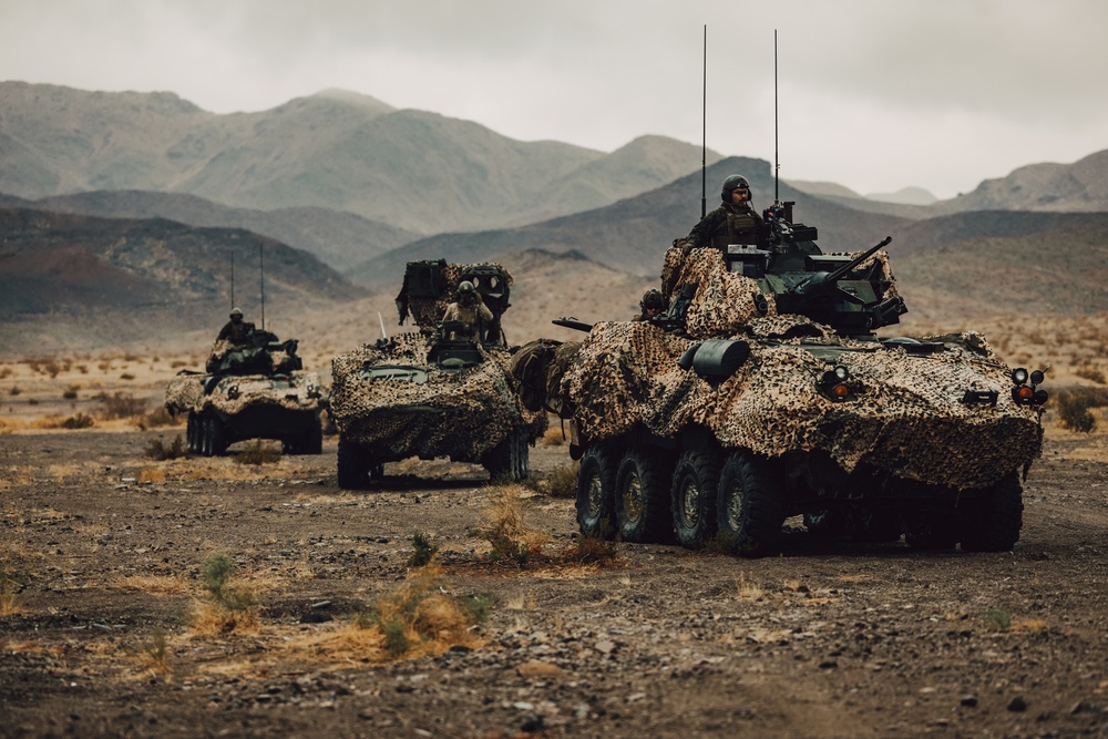 Marines with 1st LAR and 3rd LAR conduct Platoon Attacks During ITX 1-25