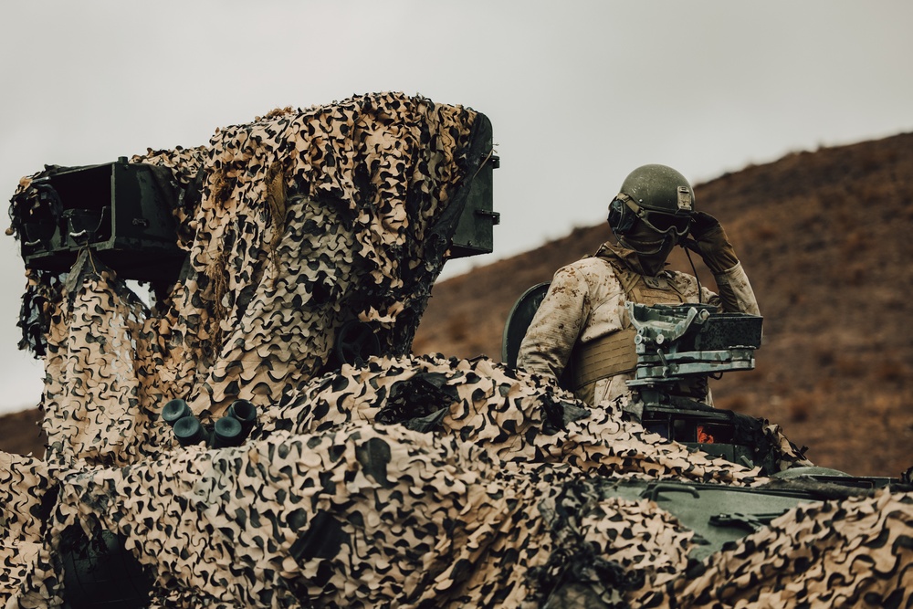 Marines with 1st LAR and 3rd LAR conduct Platoon Attacks During ITX 1-25