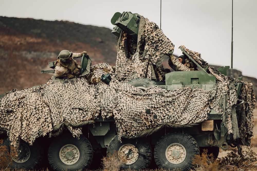 Marines with 1st LAR and 3rd LAR conduct Platoon Attacks During ITX 1-25
