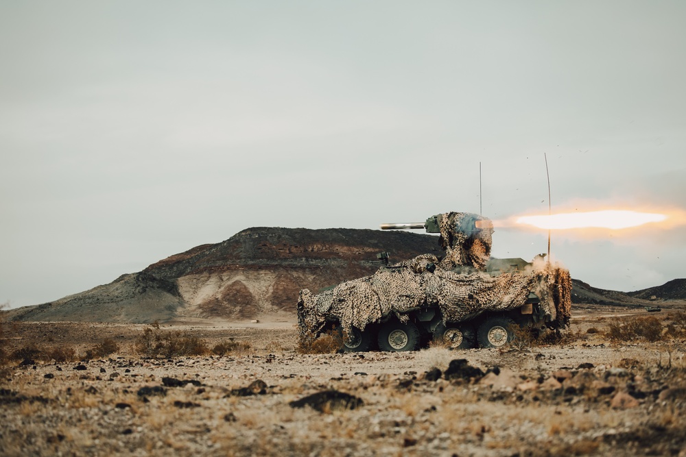 Marines with 1st LAR and 3rd LAR conduct Platoon Attacks During ITX 1-25
