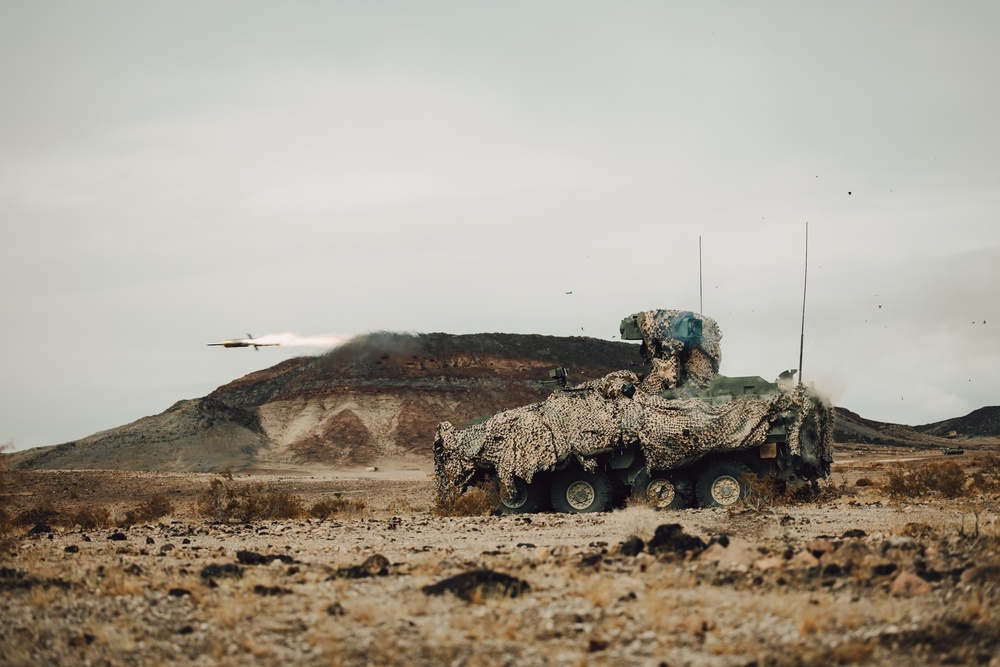 Marines with 1st LAR and 3rd LAR conduct Platoon Attacks During ITX 1-25