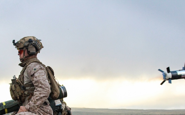 3d LCT Conducts Live-Fire FGM-148 Javelin Range at PTA