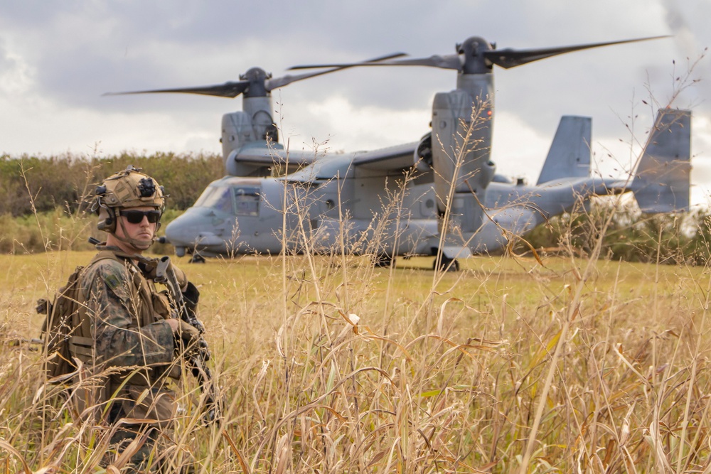 31st MEU | BLT 2/4 conducts TRAP Exercise