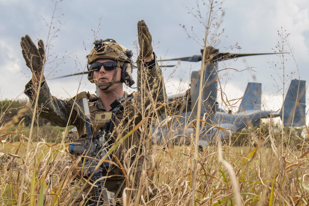 31st MEU | BLT 2/4 conducts TRAP Exercise