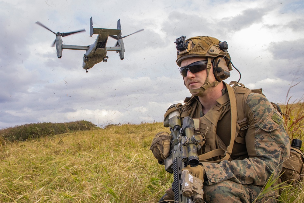 31st MEU | BLT 2/4 conducts TRAP Exercise