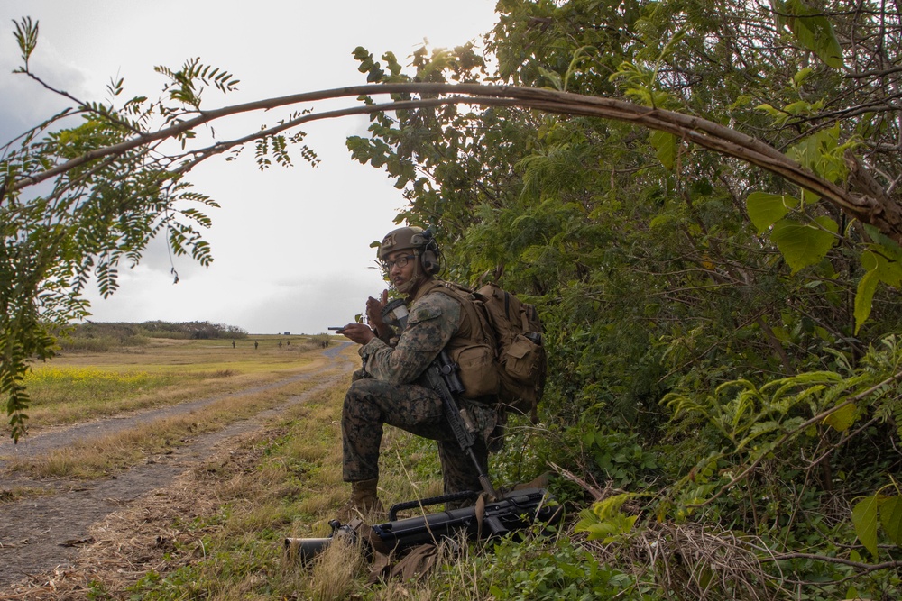 31st MEU | BLT 2/4 conducts TRAP Exercise