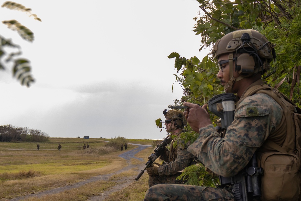 31st MEU | BLT 2/4 conducts TRAP Exercise