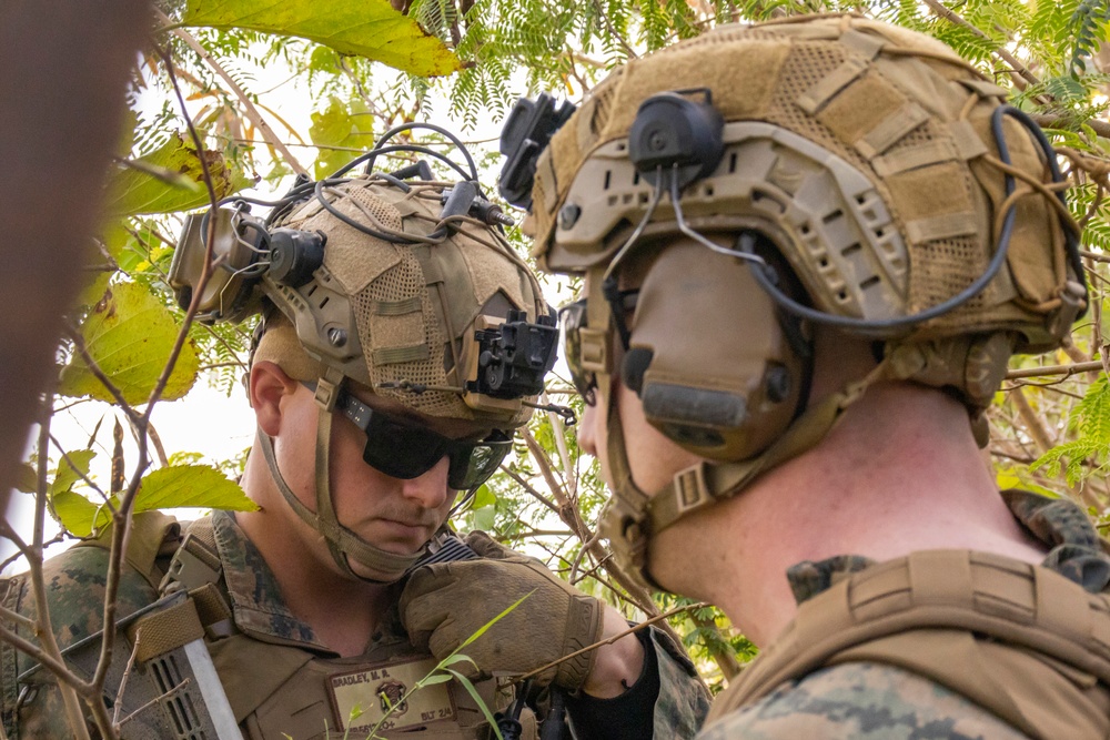 31st MEU | BLT 2/4 conducts TRAP Exercise