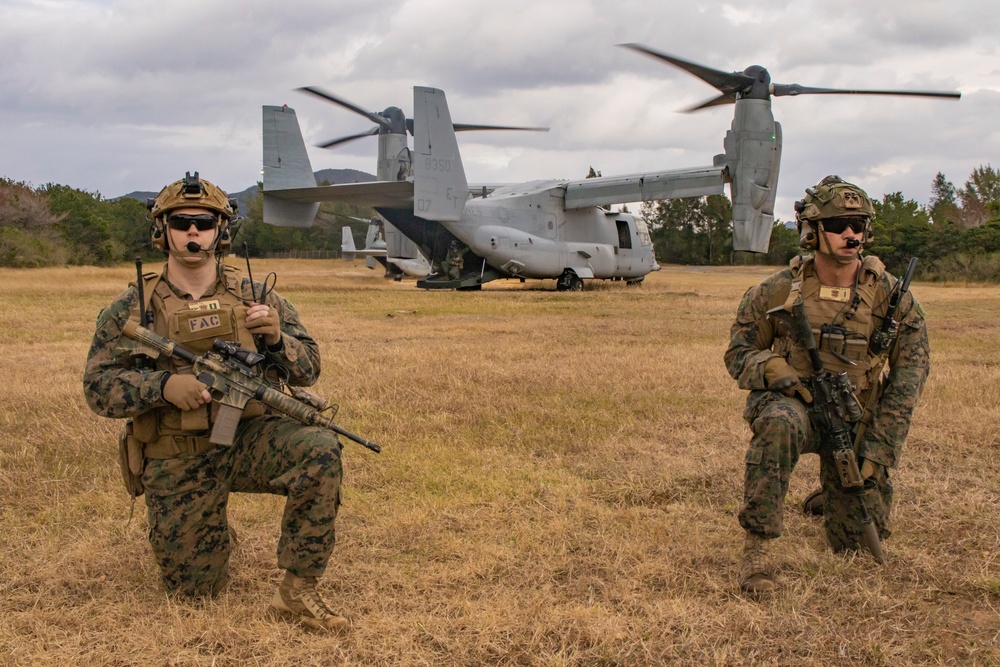 31st MEU | BLT 2/4 conducts TRAP Exercise