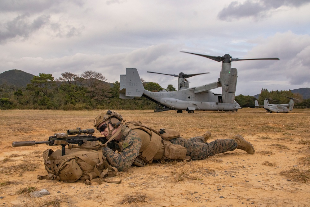 31st MEU | BLT 2/4 conducts TRAP Exercise