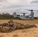 31st MEU | BLT 2/4 conducts TRAP Exercise