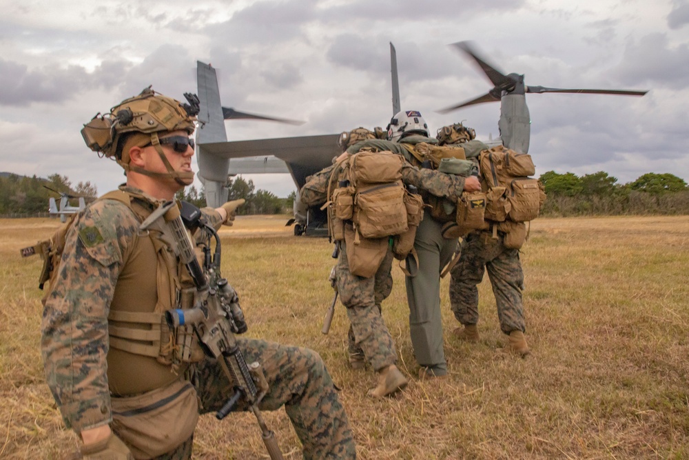 31st MEU | BLT 2/4 conducts TRAP Exercise