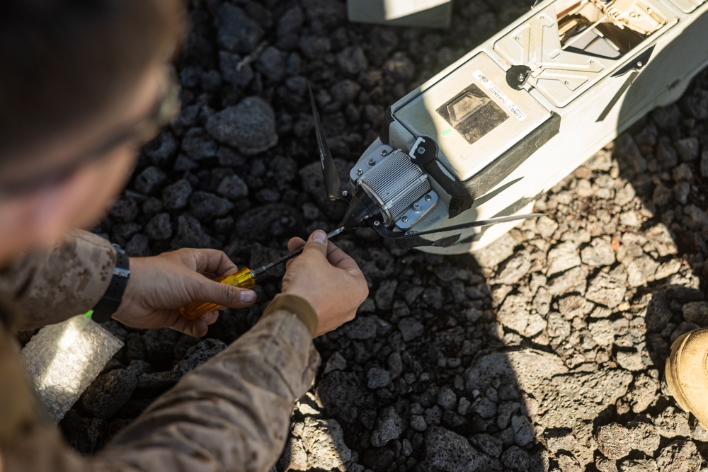 3d LCT Utilizes RQ-20B PUMA at Pohakuloa