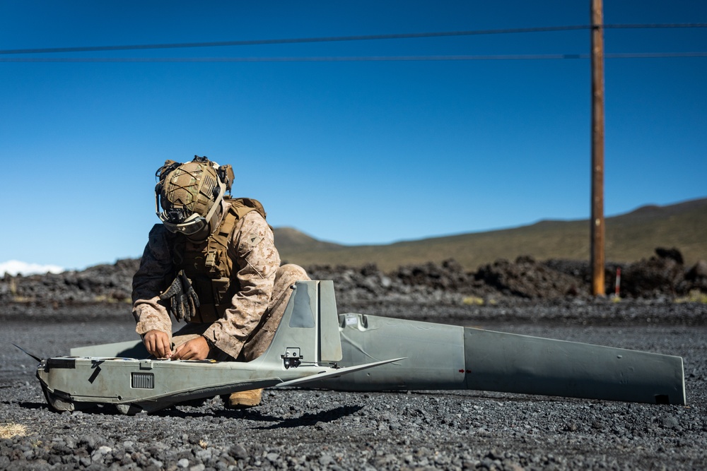 3d LCT Utilizes RQ-20B PUMA at Pohakuloa