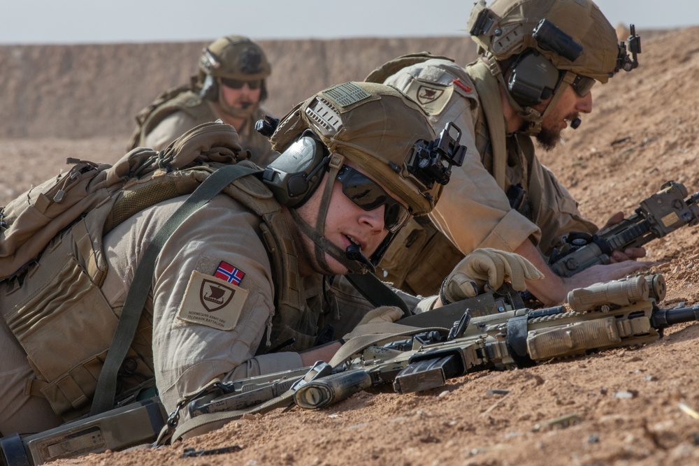 Coalition Members Conduct Live Fire Exercise Near Al Asad Air Base