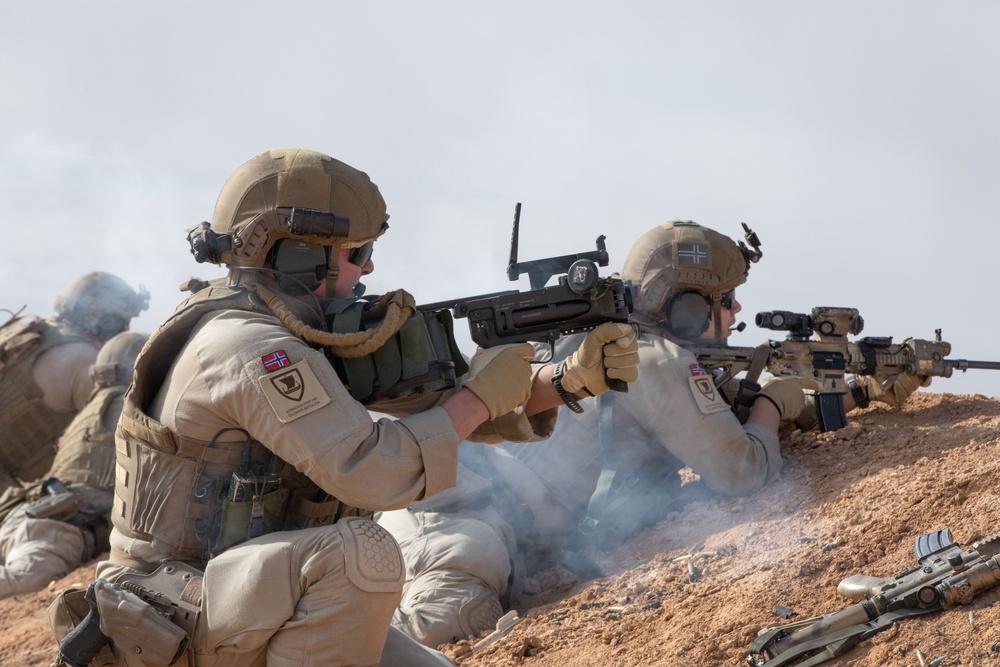 Coalition Members Conduct Live Fire Exercise Near Al Asad Air Base