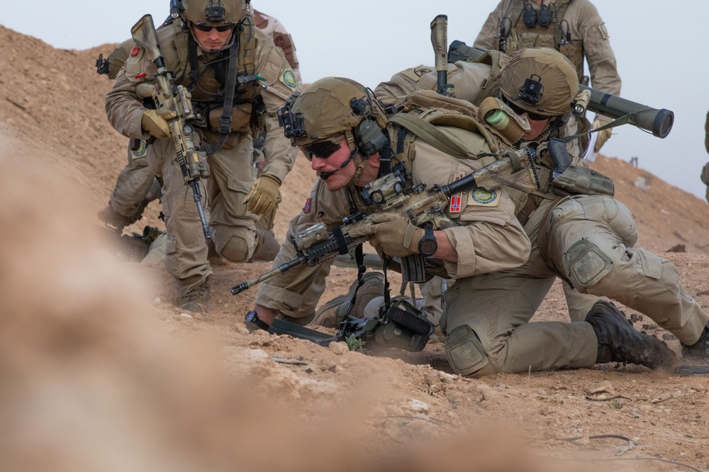 Coalition Members Conduct Live Fire Exercise Near Al Asad Air Base