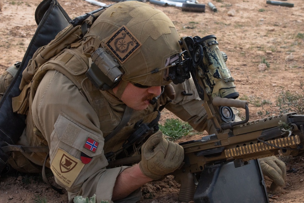 Coalition Members Conduct Live Fire Exercise Near Al Asad Air Base