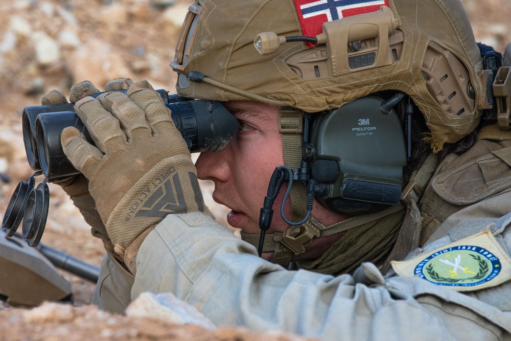 Coalition Members Conduct Live Fire Exercise Near Al Asad Air Base