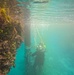 Kwajalein Atoll-7th Engineer Dive Detachment