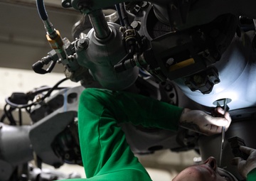 Battle Cats Perform Maintenance on Helicopter