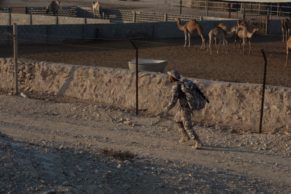 Best Warrior competitors complete a 15km ruck march