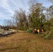 Hurricane Helene Recovery: Special Properties - Northview Cemetery Laurens County, Georgia.