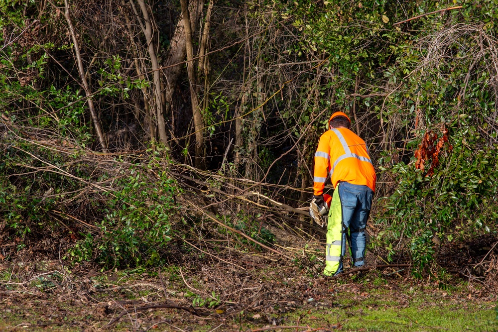 Hurricane Helene Recovery: Special Properties - Northview Cemetery Laurens County, Georgia.