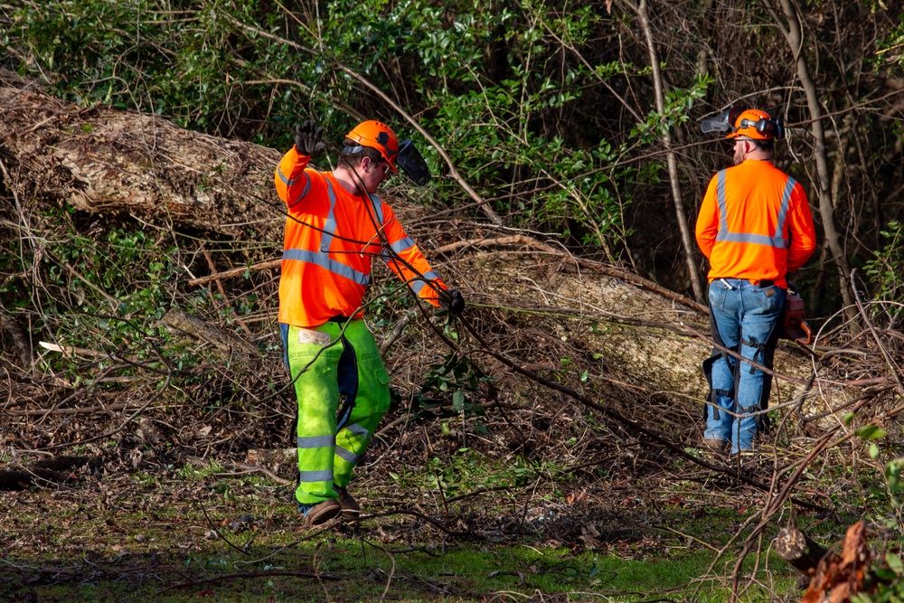 Hurricane Helene Recovery: Special Properties - Northview Cemetery Laurens County, Georgia.