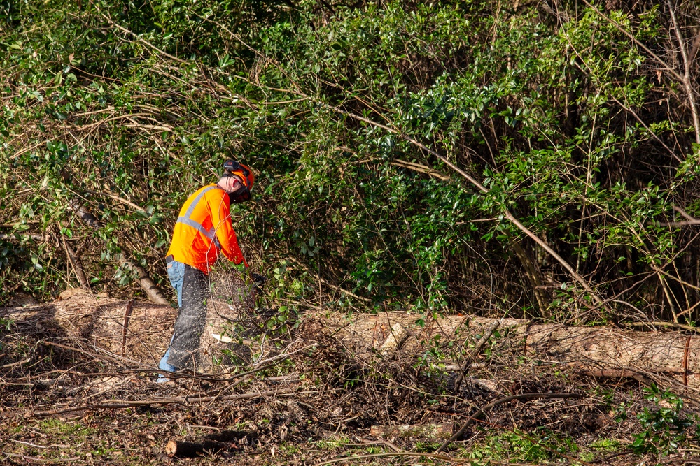 Hurricane Helene Recovery: Special Properties - Northview Cemetery Laurens County, Georgia.