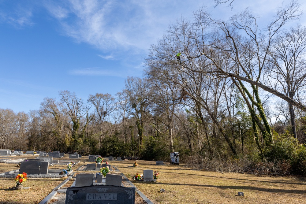 Hurricane Helene Recovery: Tree Cutting and Removal in Laurens County, Georgia.