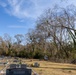 Hurricane Helene Recovery: Tree Cutting and Removal in Laurens County, Georgia.