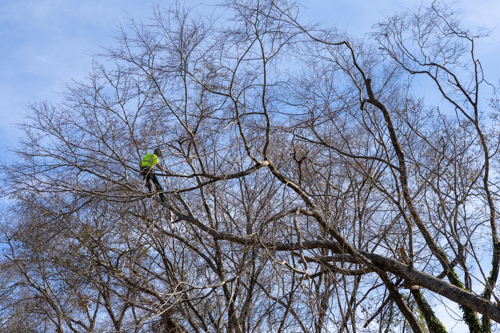 Hurricane Helene Recovery: Tree Cutting and Removal in Laurens County, Georgia.