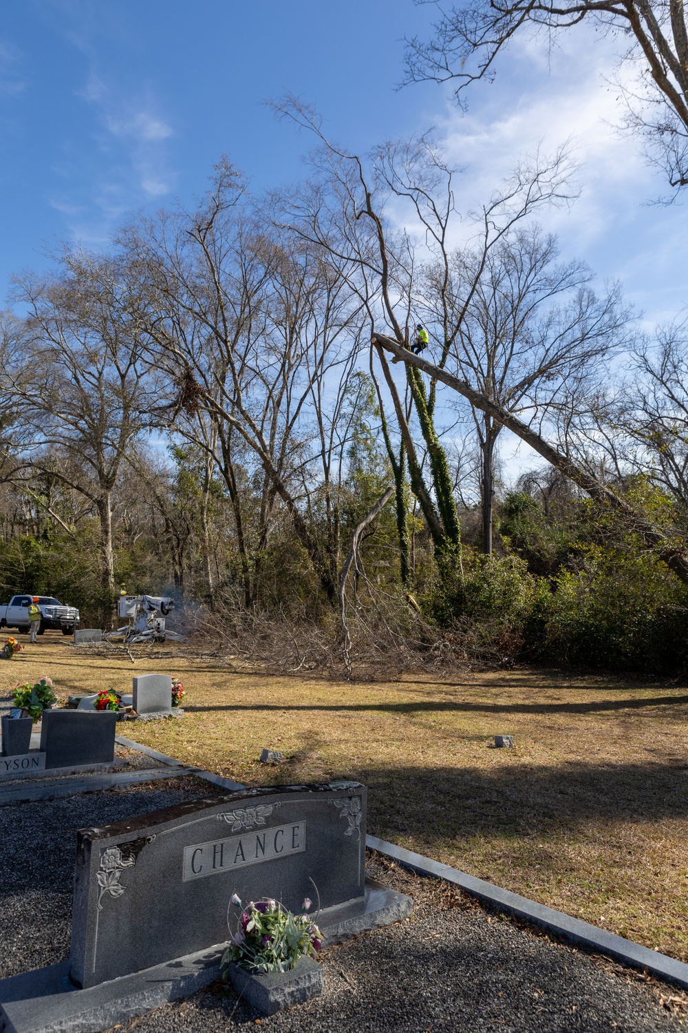 Hurricane Helene Recovery: Tree Cutting and Removal in Laurens County, Georgia.