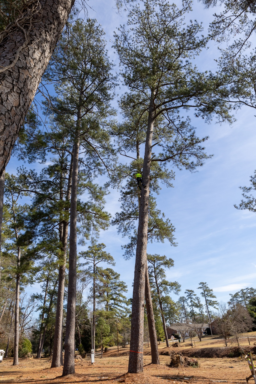 Hurricane Helene Recovery: Tree Cutting and Removal in Laurens County, Georgia.
