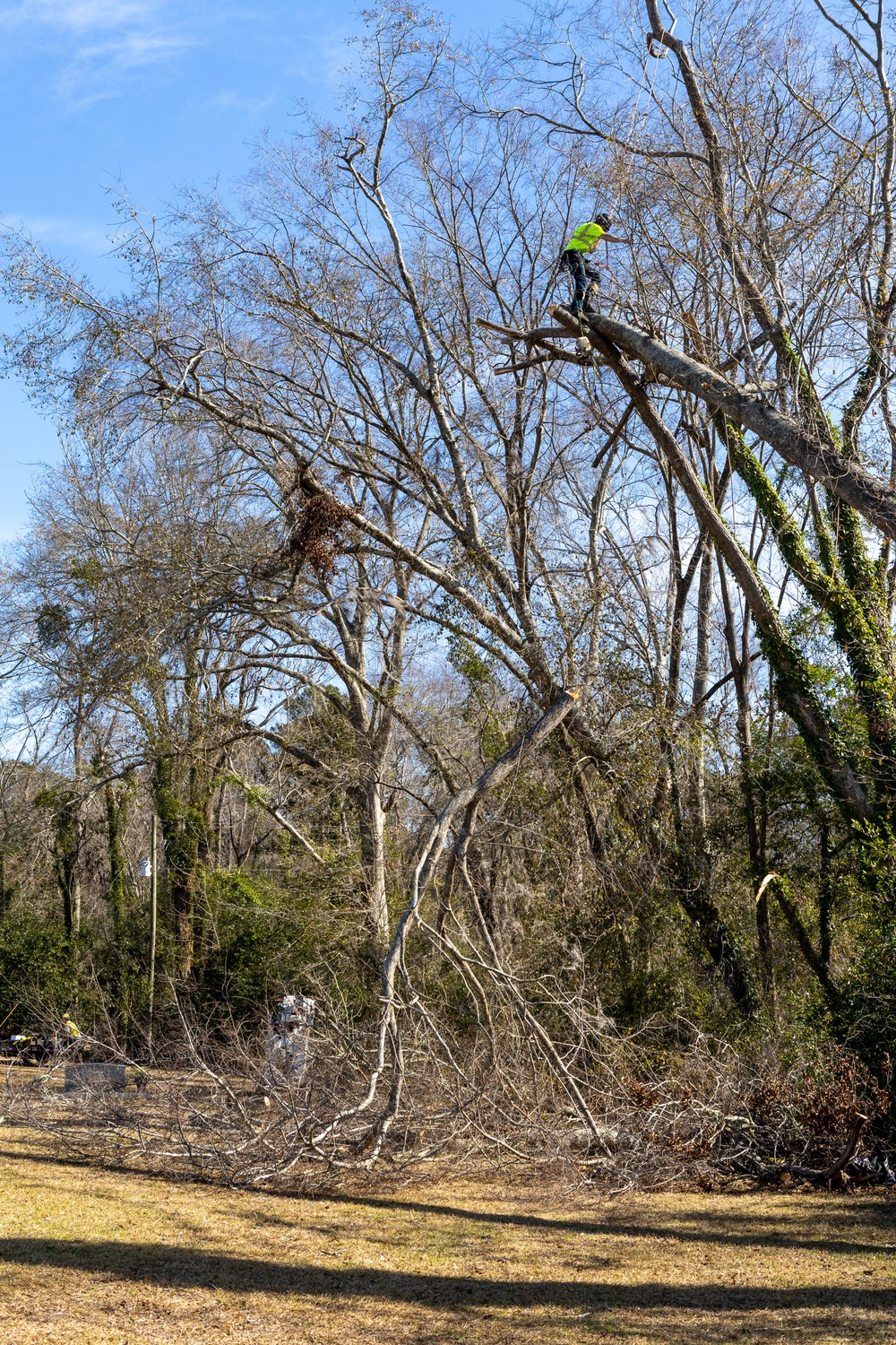 Hurricane Helene Recovery: Tree Cutting and Removal in Laurens County, Georgia.