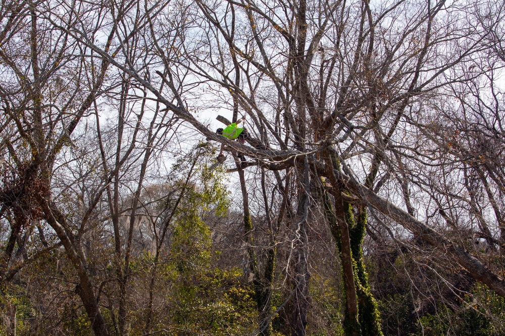 Hurricane Helene Recovery: Tree Cutting and Removal in Laurens County, Georgia.