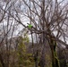 Hurricane Helene Recovery: Tree Cutting and Removal in Laurens County, Georgia.