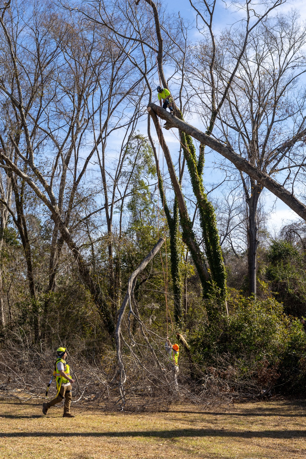 Hurricane Helene Recovery: Tree Cutting and Removal in Laurens County, Georgia.