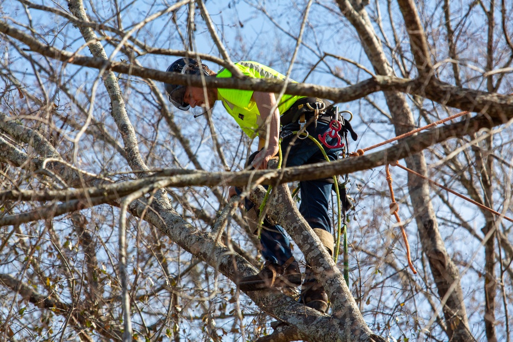 Hurricane Helene Recovery: Tree Cutting and Removal in Laurens County, Georgia.