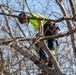 Hurricane Helene Recovery: Tree Cutting and Removal in Laurens County, Georgia.