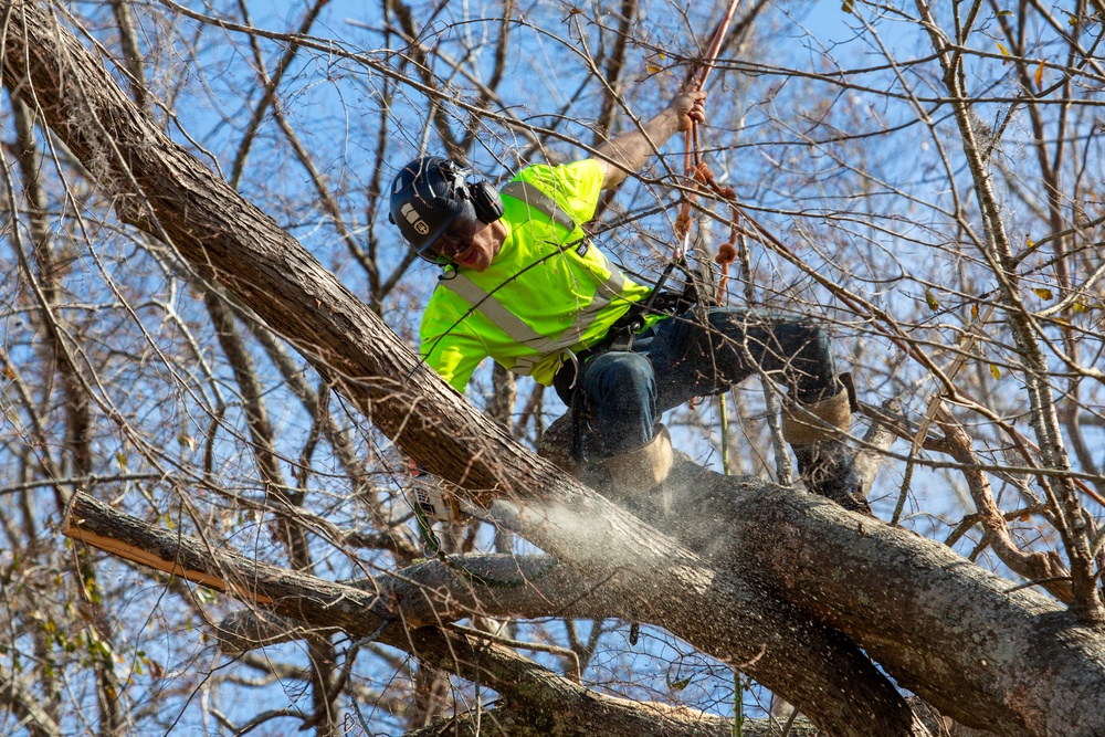 Hurricane Helene Recovery: Tree Cutting and Removal in Laurens County, Georgia.