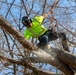 Hurricane Helene Recovery: Tree Cutting and Removal in Laurens County, Georgia.