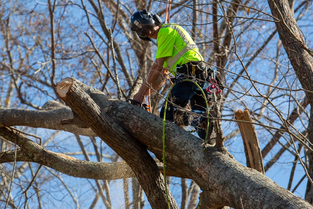 Hurricane Helene Recovery: Tree Cutting and Removal in Laurens County, Georgia.