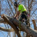 Hurricane Helene Recovery: Tree Cutting and Removal in Laurens County, Georgia.