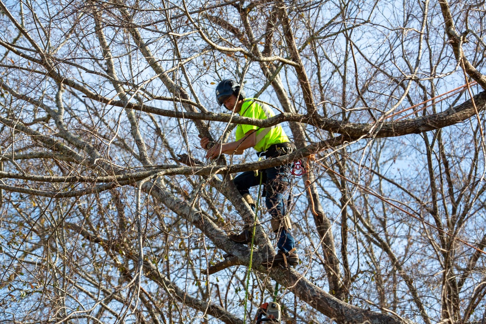 Hurricane Helene Recovery: Tree Cutting and Removal in Laurens County, Georgia.