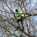 Hurricane Helene Recovery: Tree Cutting and Removal in Laurens County, Georgia.